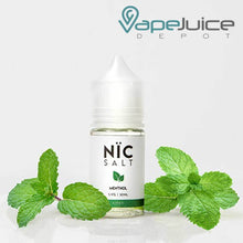 Load image into Gallery viewer, NiC Salt - Menthol by GOST Vapor 30ml
